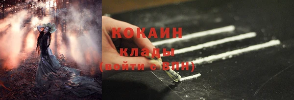 дживик Абинск