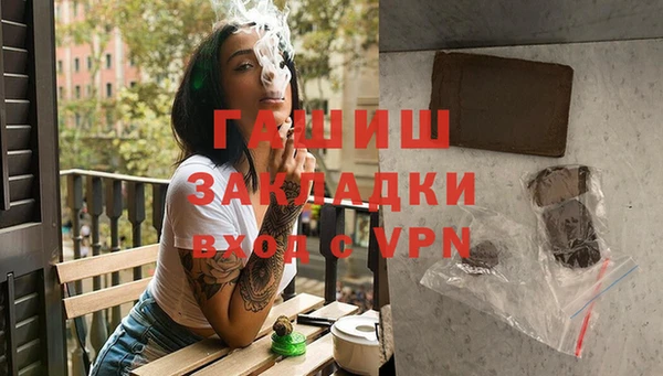 индика Алзамай