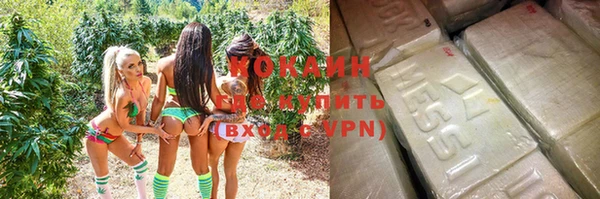 дживик Абинск