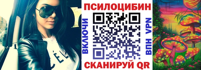 купить наркотики цена  Стерлитамак  Псилоцибиновые грибы Psilocybe 