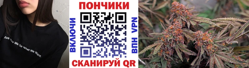 Бошки марихуана индика  Стерлитамак 